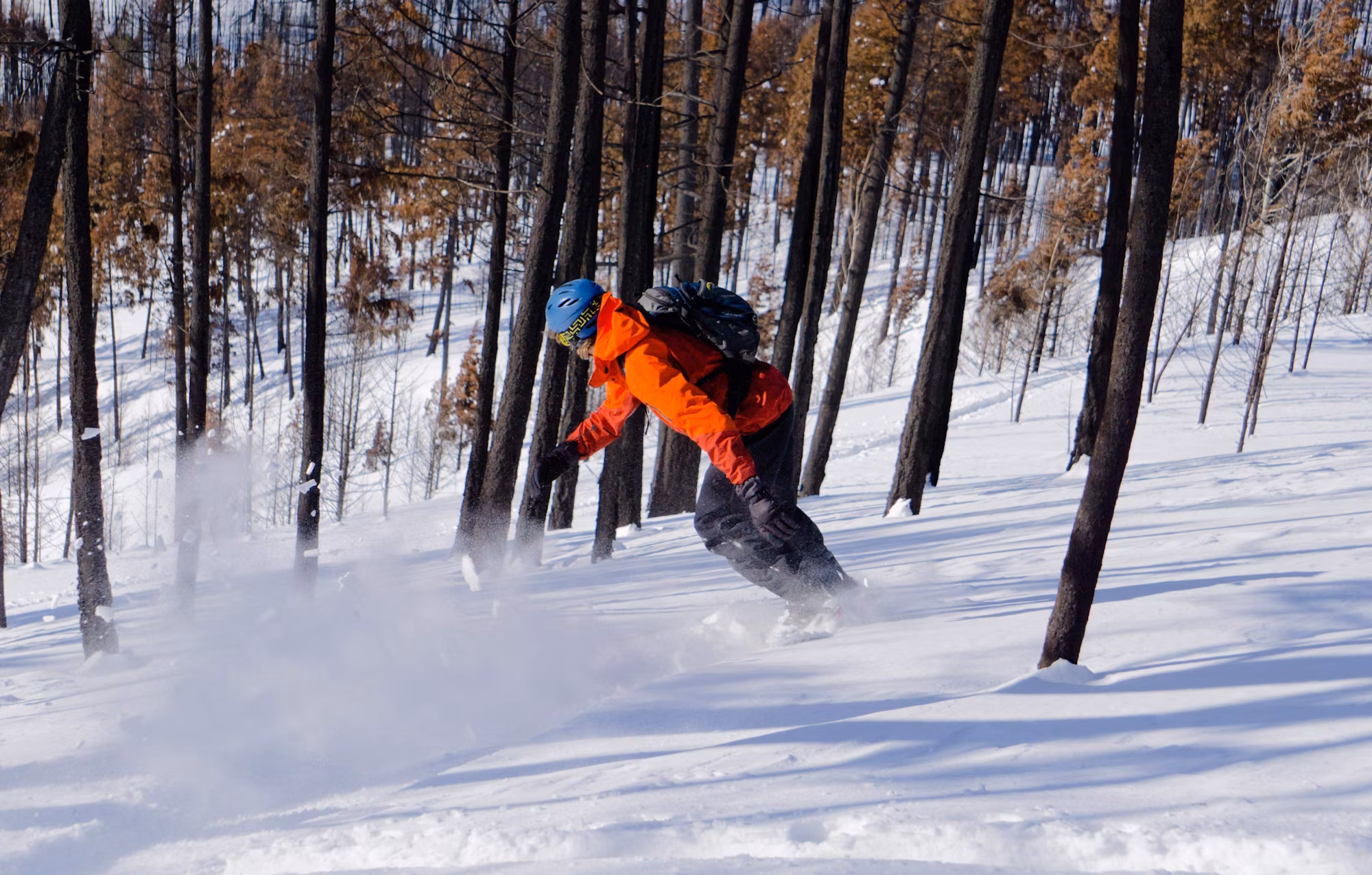 Exploring the Thrills of Freestyle Snowboarding